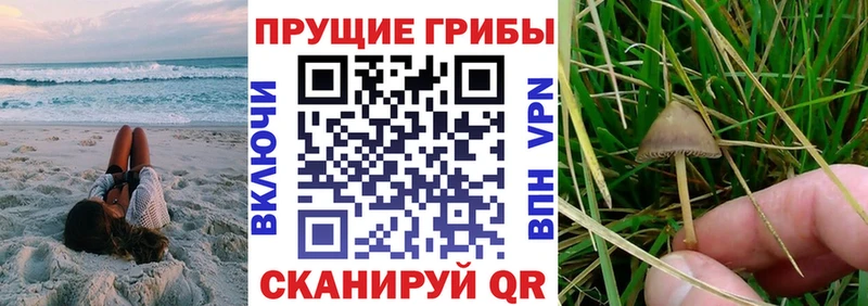 Псилоцибиновые грибы прущие грибы Купить где Волосово
